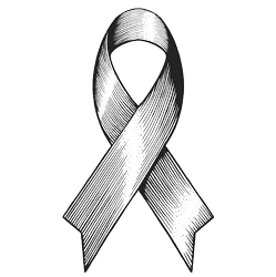 Luto e perdas: Luto e perdas: